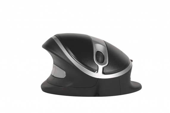 Oyster Mouse Wireless